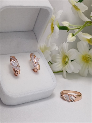 Набор "Виолетта" 4774