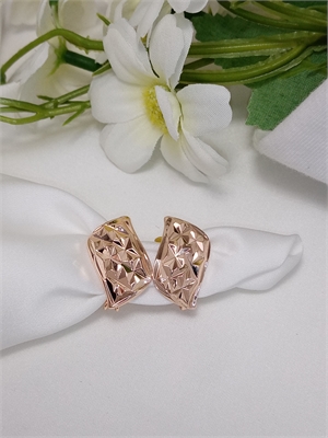 Серьги "Жгучее солнце" 3131